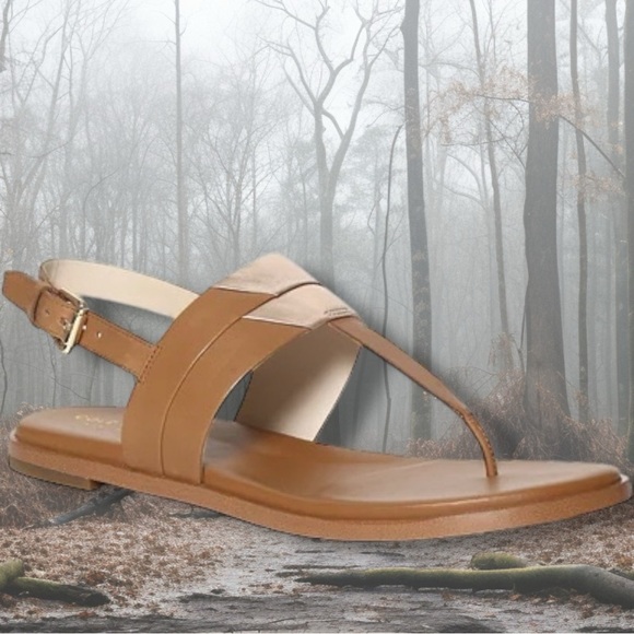 Cole Haan ‘Ainsley Grand T-Strap Sandals’ in Tan & Gold Metallic Leather Size 7 - Picture 5 of 16